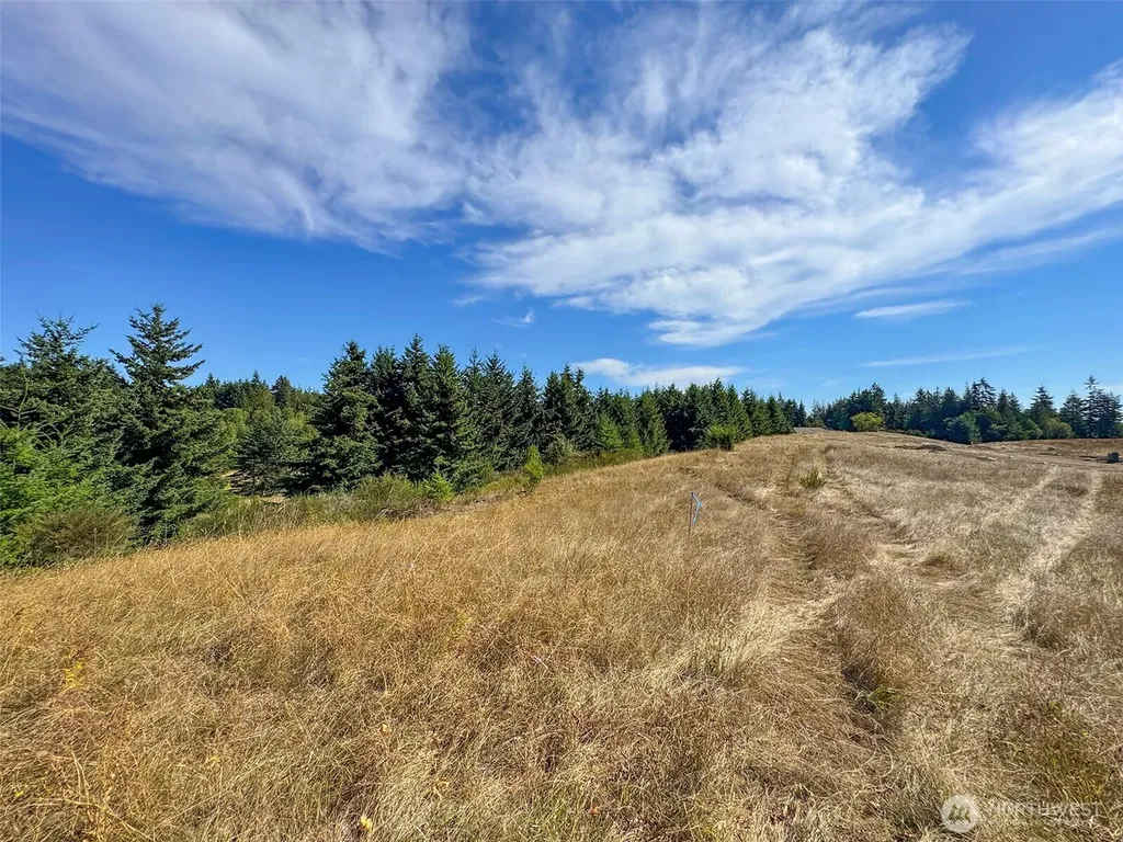 9999 Olympic Meadows Parcel 10 Port Angeles WA 98362