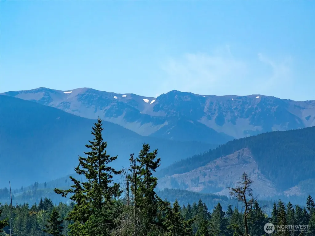 9999 Olympic Meadows Parcel 10 Port Angeles WA 98362