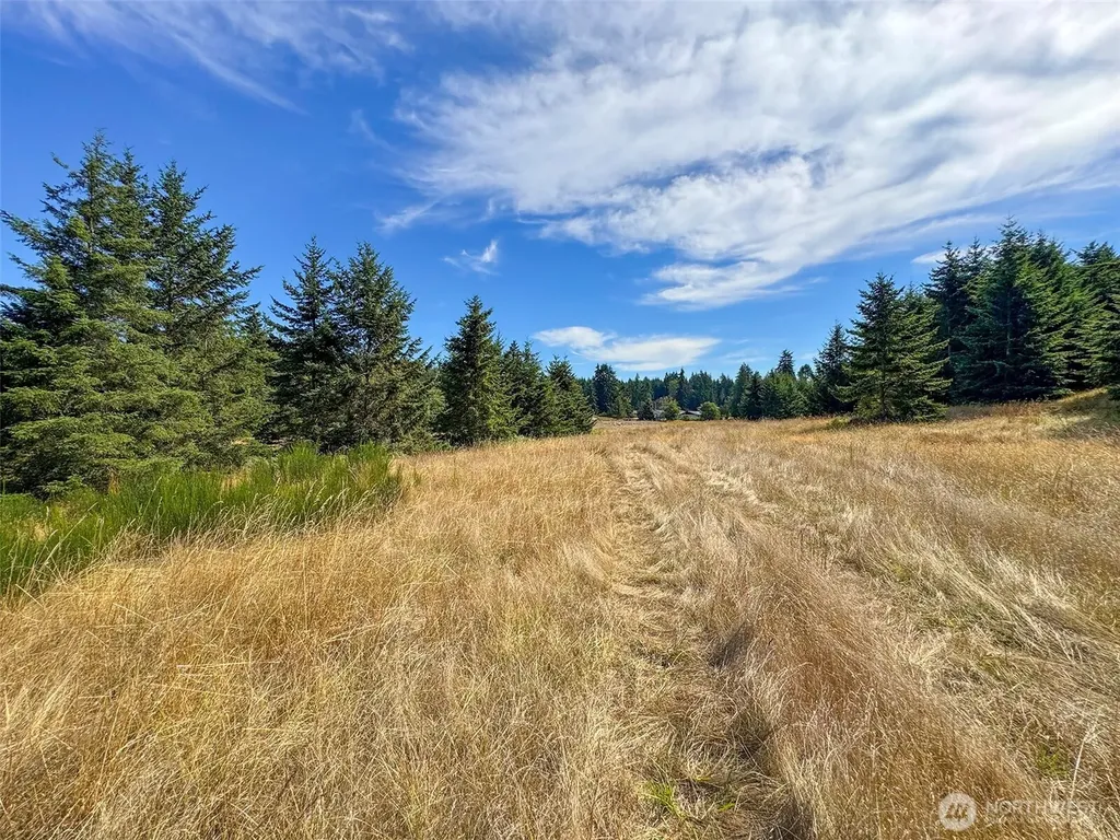 9999 Olympic Meadows Parcel 10 Port Angeles WA 98362