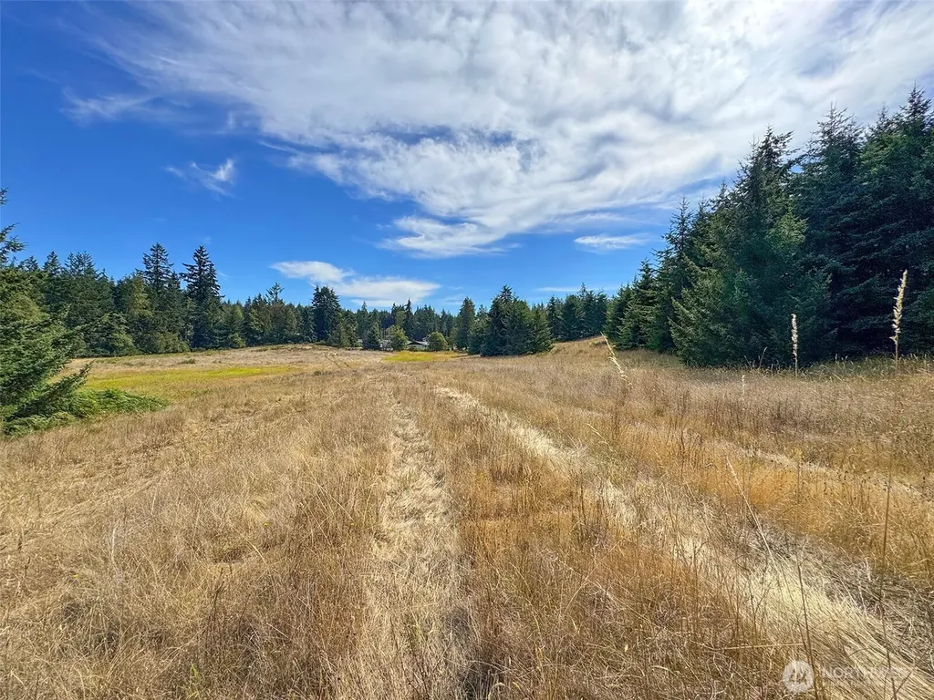 9999 Olympic Meadows Parcel 10 Port Angeles WA 98362