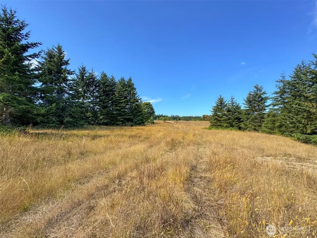9999 Olympic Meadows Parcel 10 Port Angeles WA 98362