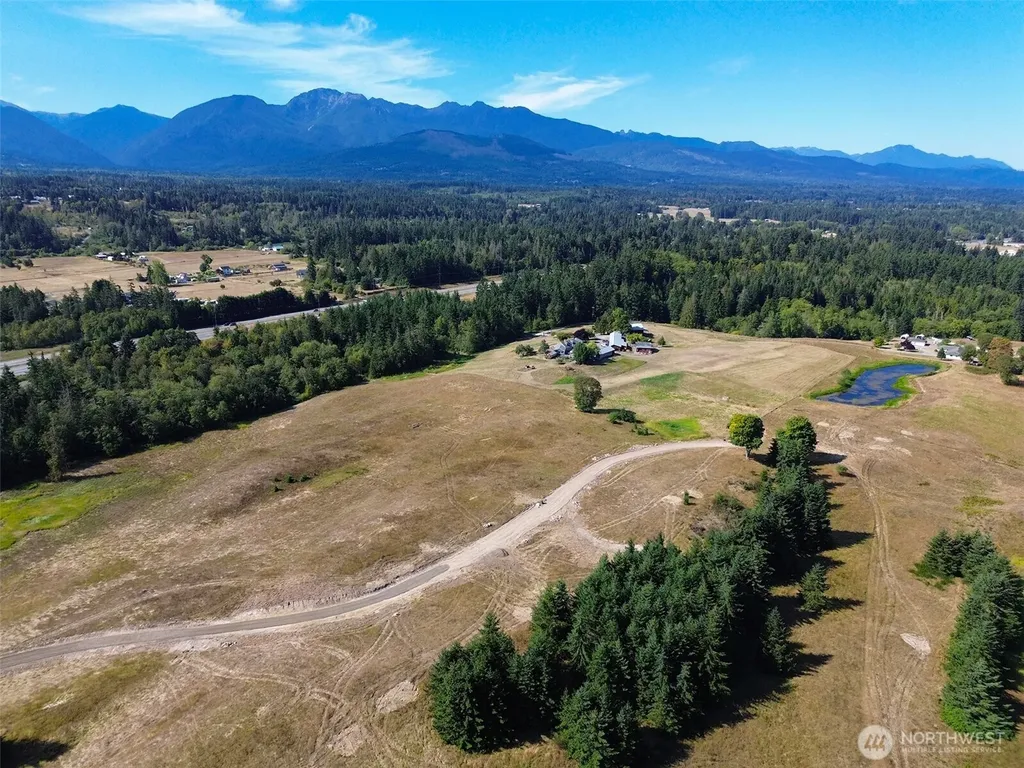 9999 Olympic Meadows Parcel 10 Port Angeles WA 98362