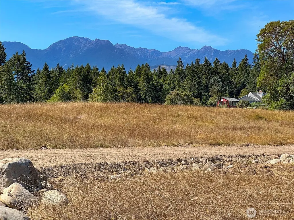 9999 Olympic Meadows Parcel 10 Port Angeles WA 98362