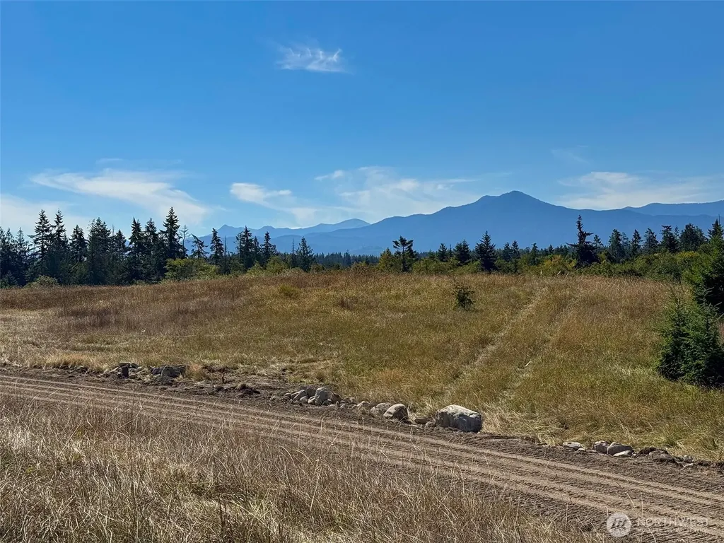 9999 Olympic Meadows Parcel 10 Port Angeles WA 98362