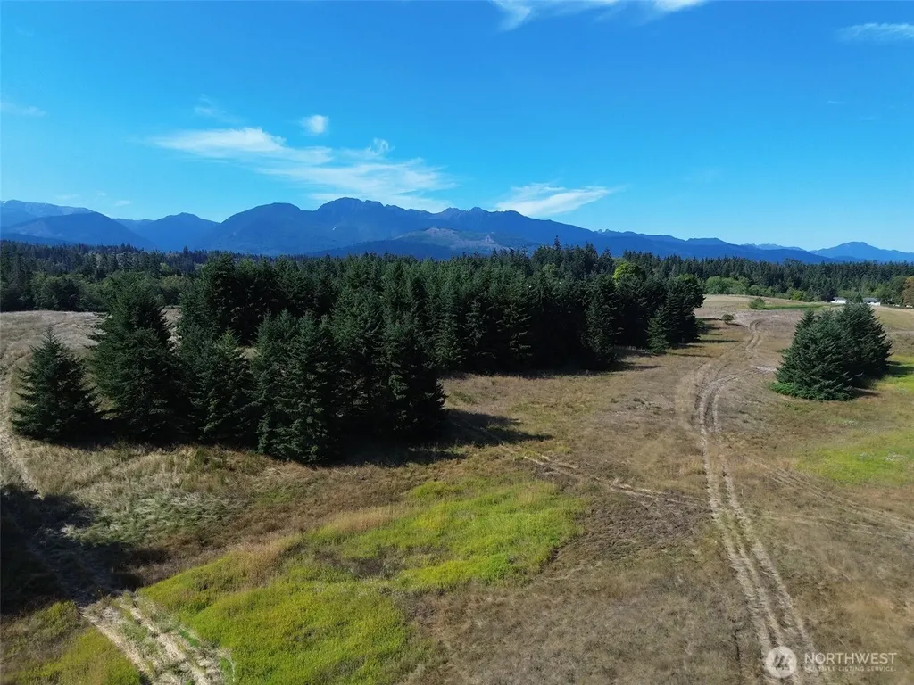 9999 Olympic Meadows Parcel 10 Port Angeles WA 98362