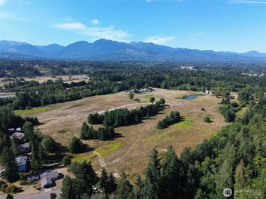 9999 Olympic Meadows Parcel 10 Port Angeles WA 98362
