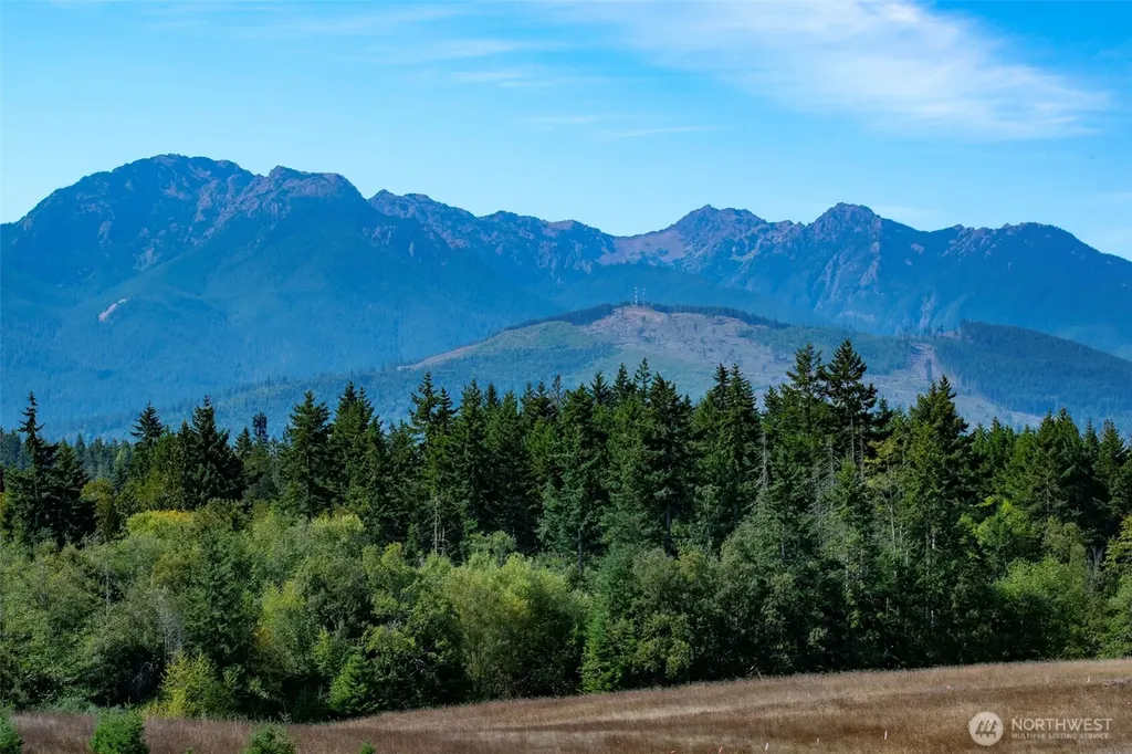 9999 Olympic Meadows Parcel 10 Port Angeles WA 98362