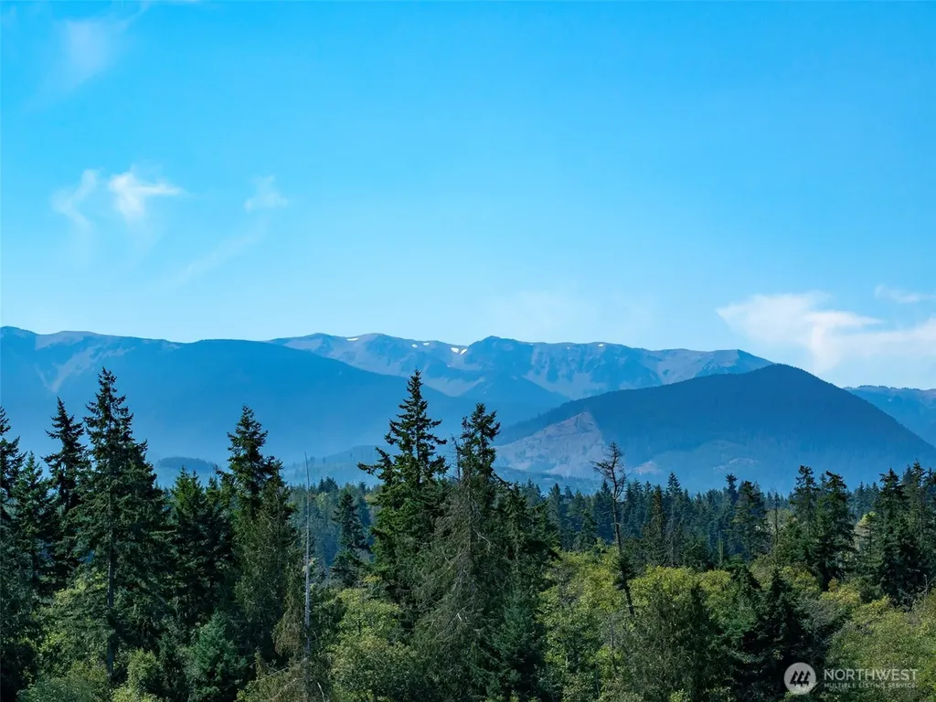 9999 Olympic Meadows Parcel 10 Port Angeles WA 98362