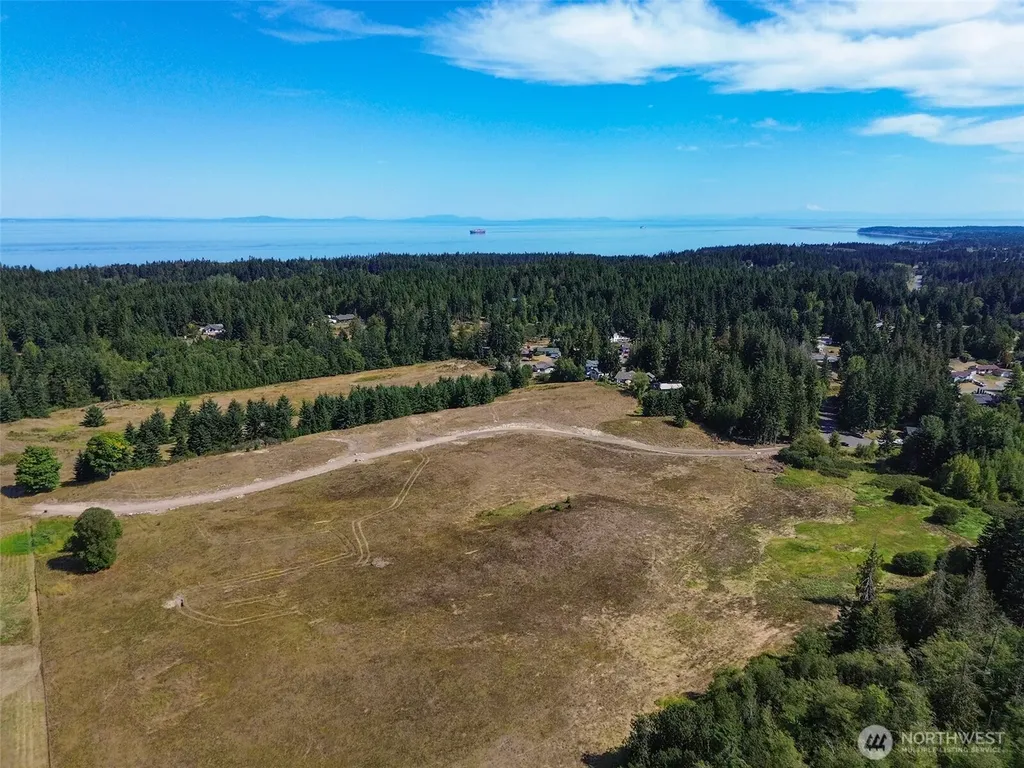 9999 Olympic Meadows Parcel 10 Port Angeles WA 98362