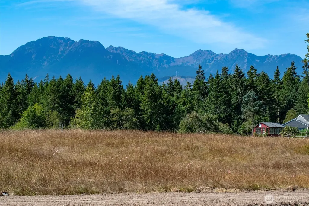 9999 Olympic Meadows Parcel 10 Port Angeles WA 98362
