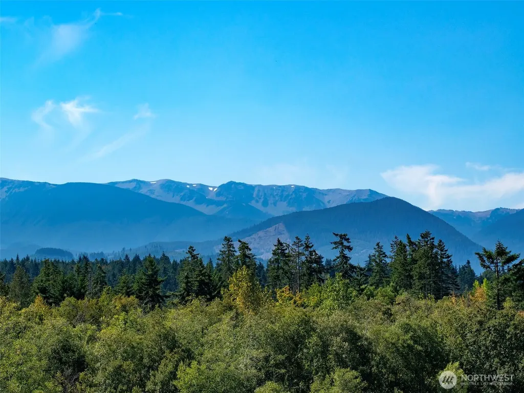 9999 Olympic Meadows Parcel 10 Port Angeles WA 98362