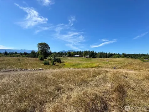 9999 Olympic Meadows Parcel 10 Port Angeles WA 98362