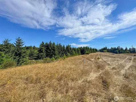 9999 Olympic Meadows Parcel 10 Port Angeles WA 98362