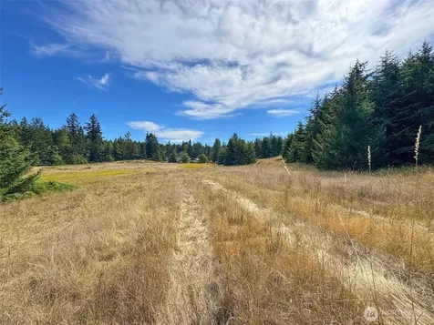 9999 Olympic Meadows Parcel 10 Port Angeles WA 98362