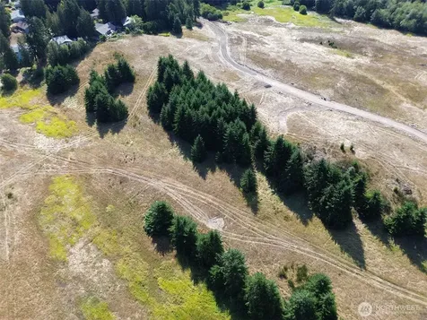 9999 Olympic Meadows Parcel 10 Port Angeles WA 98362