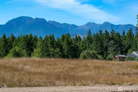 9999 Olympic Meadows Parcel 10 Port Angeles WA 98362