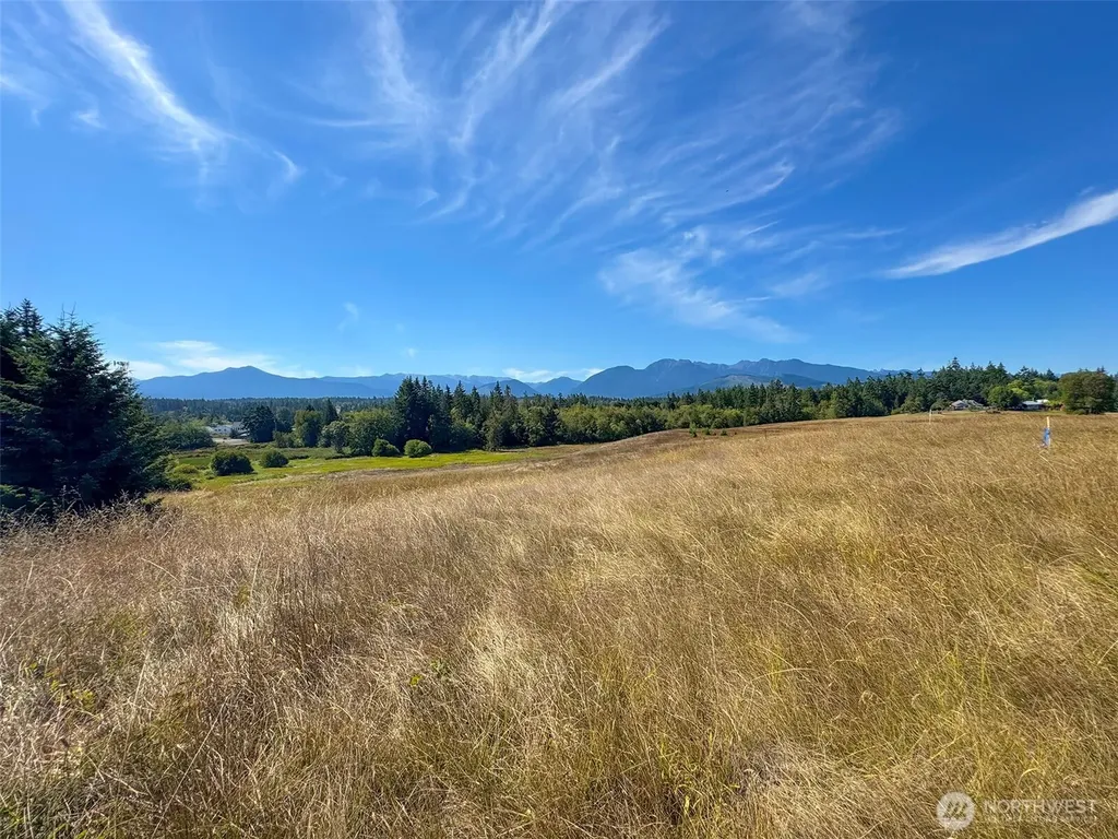 9999 Olympic Meadows, Parcel 11 Port Angeles WA 98362