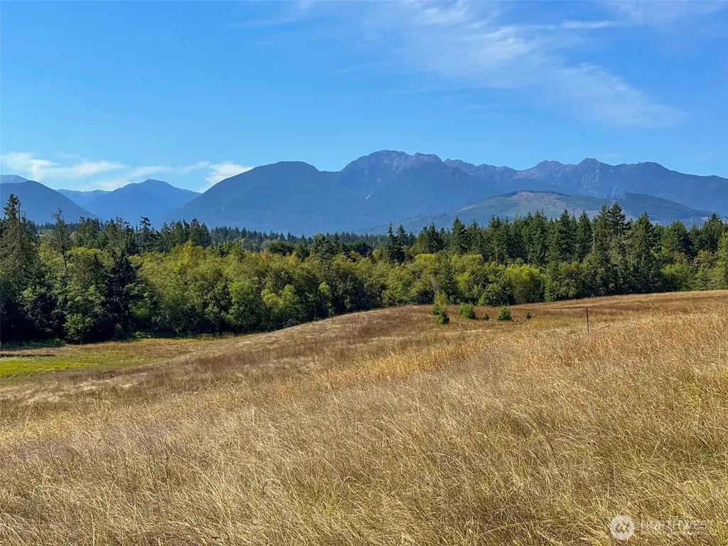 9999 Olympic Meadows, Parcel 11 Port Angeles WA 98362