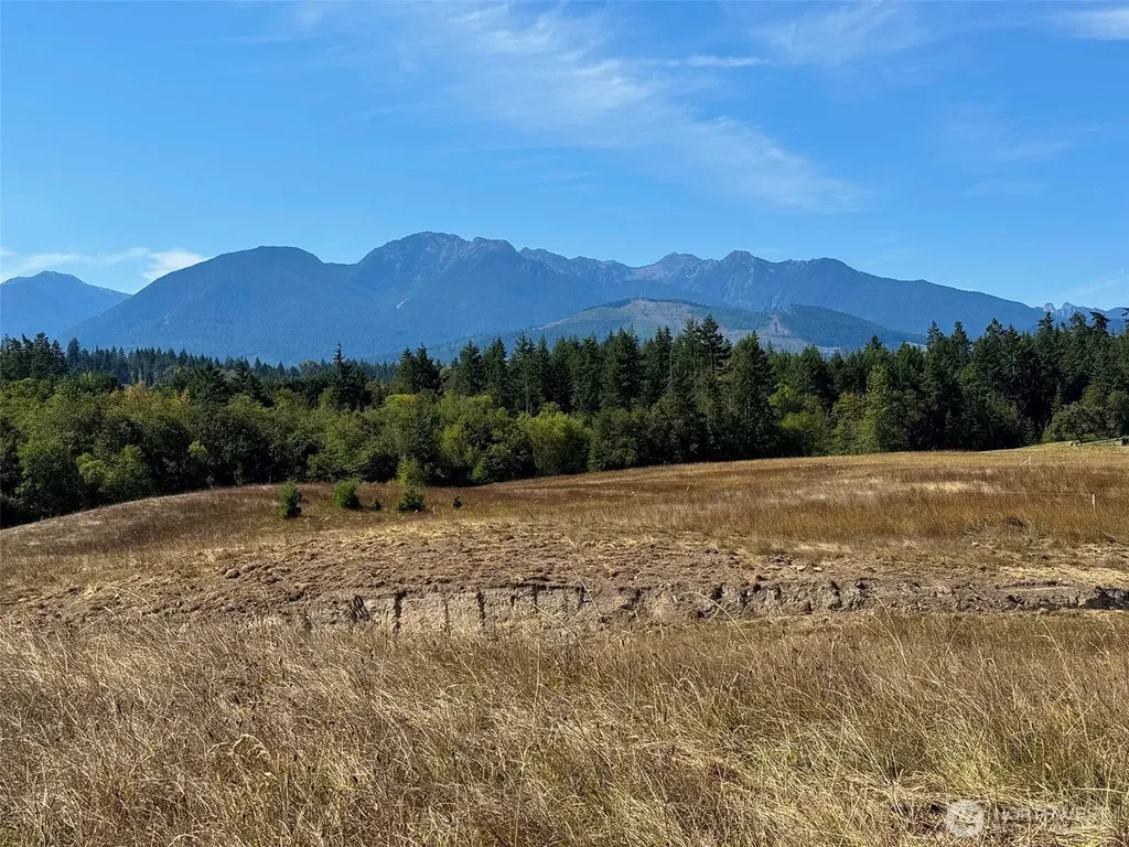 9999 Olympic Meadows, Parcel 11 Port Angeles WA 98362