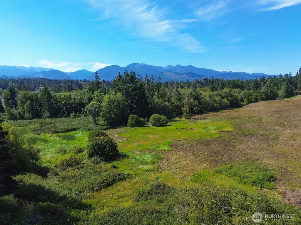 9999 Olympic Meadows, Parcel 11 Port Angeles WA 98362
