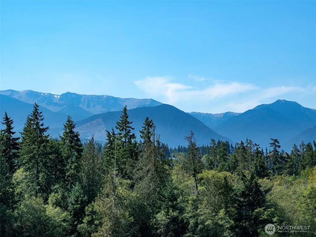 9999 Olympic Meadows, Parcel 11 Port Angeles WA 98362