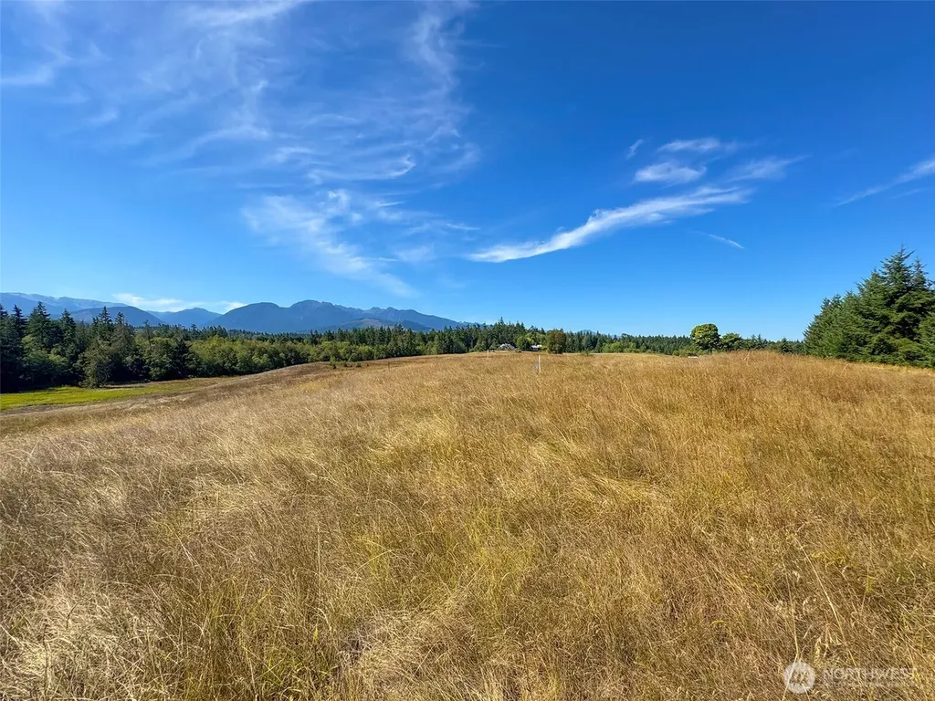 9999 Olympic Meadows, Parcel 11 Port Angeles WA 98362