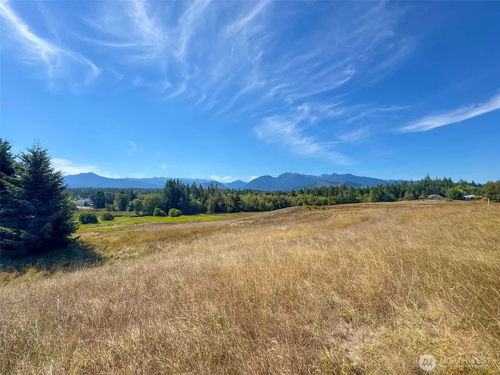 9999 Olympic Meadows, Parcel 11 Port Angeles WA 98362