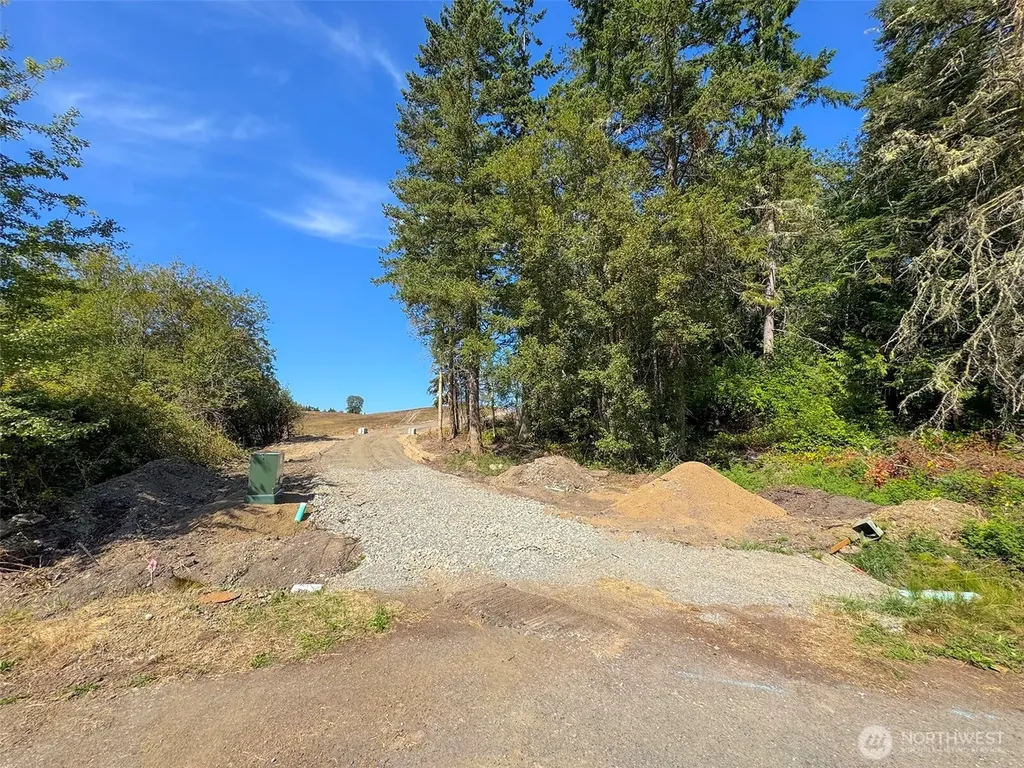 9999 Olympic Meadows, Parcel 11 Port Angeles WA 98362