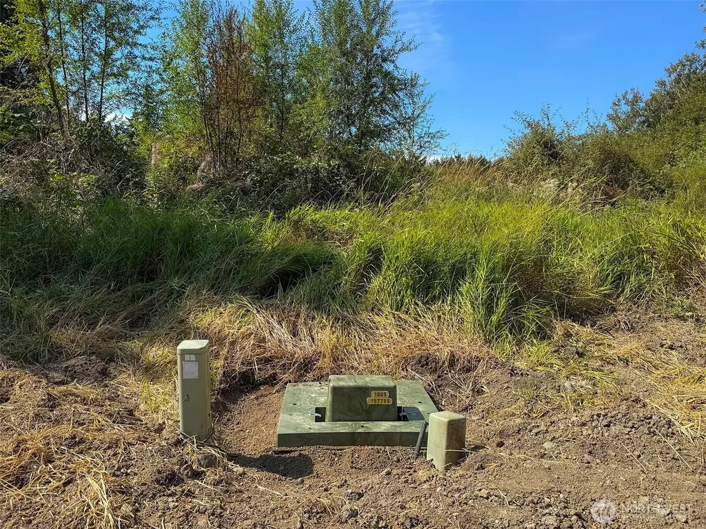 9999 Olympic Meadows, Parcel 11 Port Angeles WA 98362