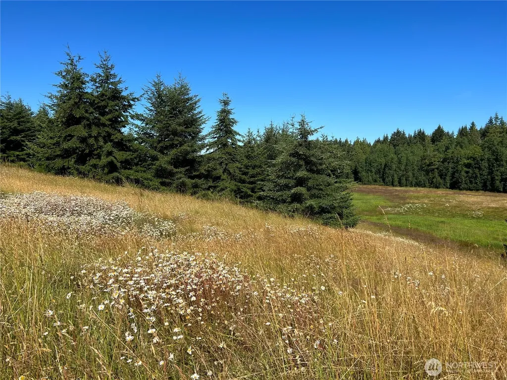 9999 Olympic Meadows, Parcel 11 Port Angeles WA 98362