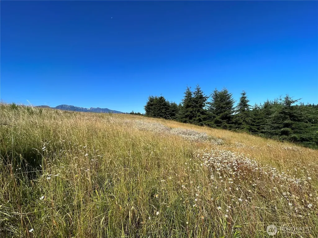 9999 Olympic Meadows, Parcel 11 Port Angeles WA 98362