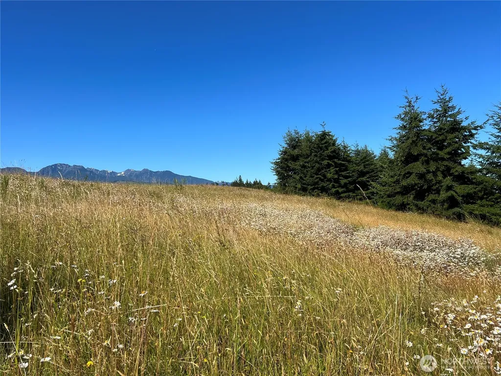9999 Olympic Meadows, Parcel 11 Port Angeles WA 98362