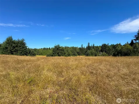 9999 Olympic Meadows, Parcel 11 Port Angeles WA 98362