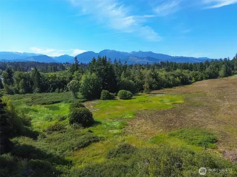 9999 Olympic Meadows, Parcel 11 Port Angeles WA 98362