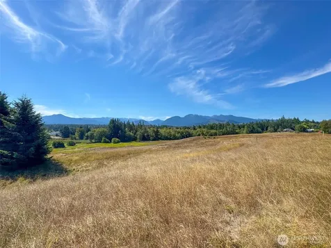 9999 Olympic Meadows, Parcel 11 Port Angeles WA 98362