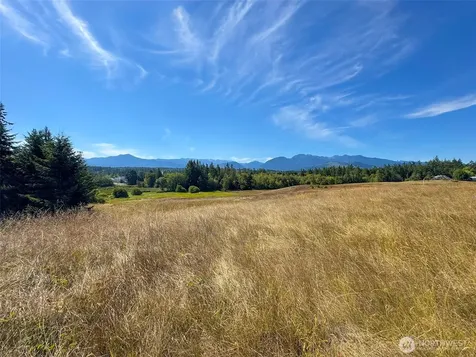 9999 Olympic Meadows, Parcel 11 Port Angeles WA 98362