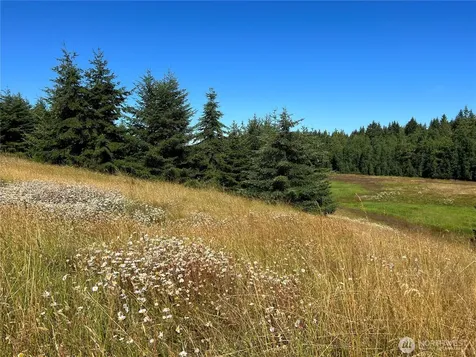 9999 Olympic Meadows, Parcel 11 Port Angeles WA 98362