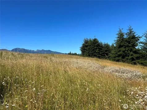 9999 Olympic Meadows, Parcel 11 Port Angeles WA 98362