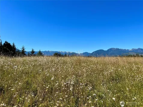 9999 Olympic Meadows, Parcel 11 Port Angeles WA 98362