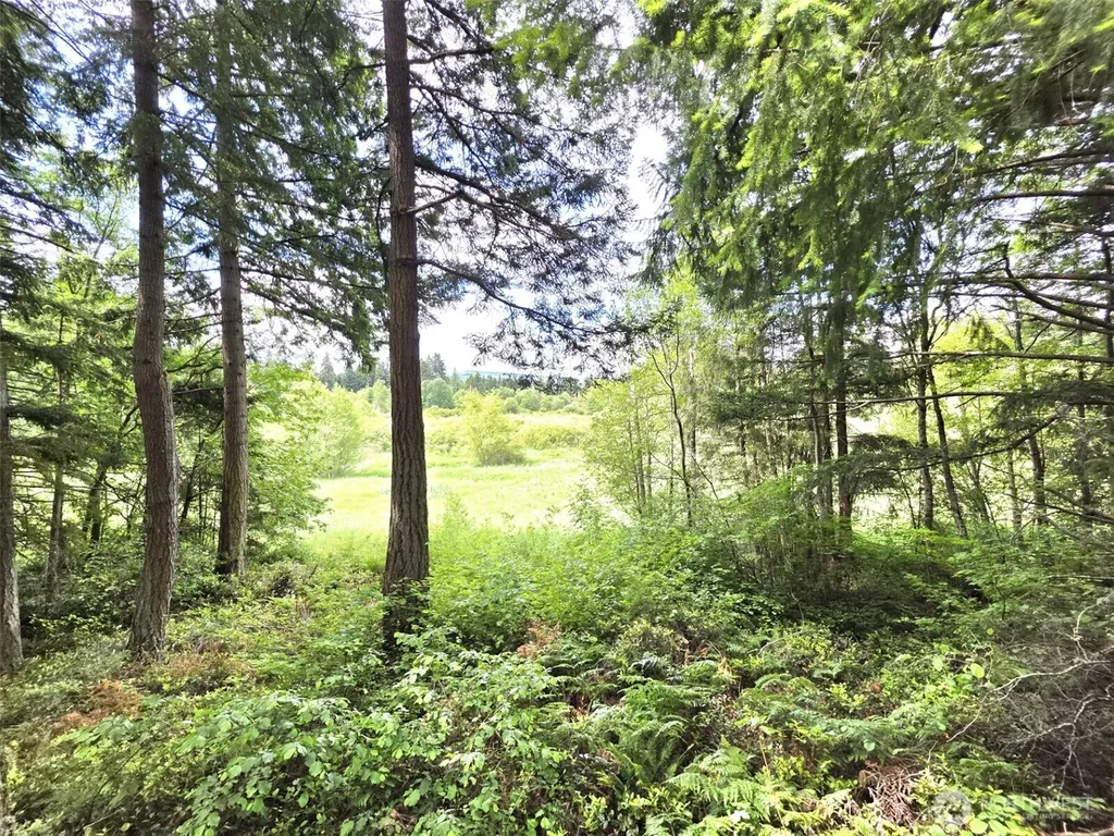 17743 Clear Lake Boulevard SE Yelm WA 98597