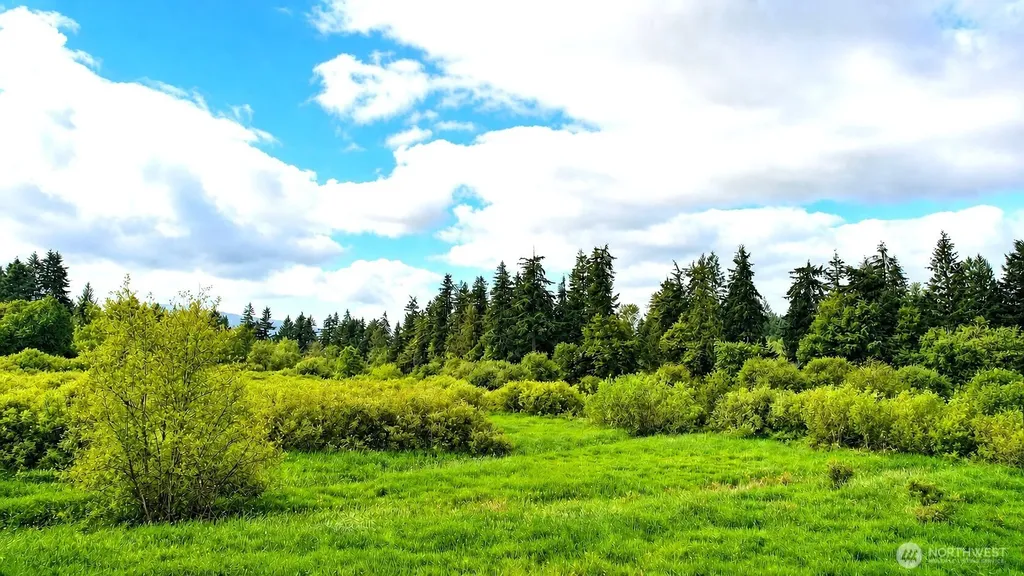 17743 Clear Lake Boulevard SE Yelm WA 98597