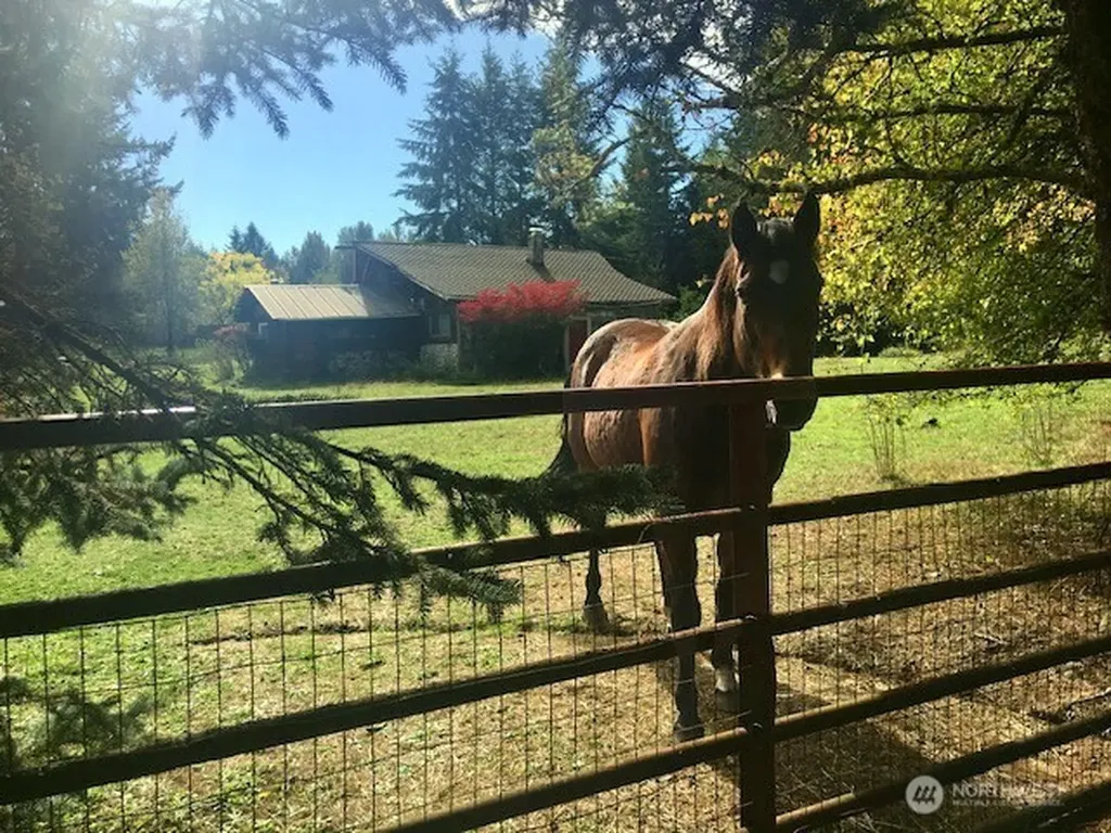 9601 El Camino Lane SE Yelm WA 98597