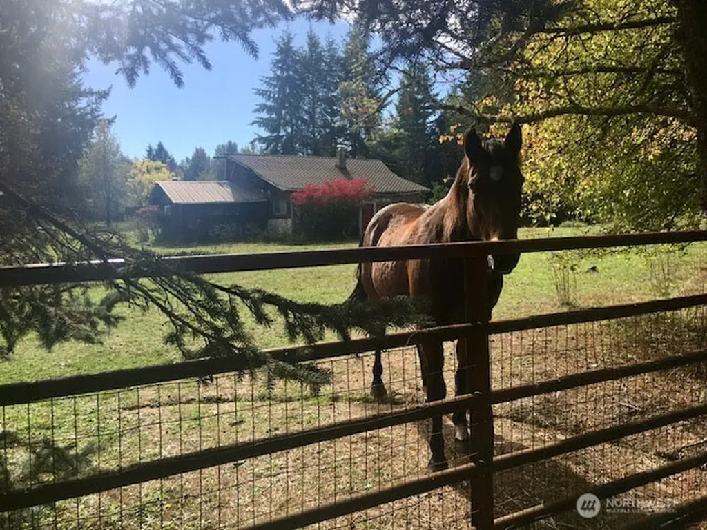 9601 El Camino Lane SE Yelm WA 98597