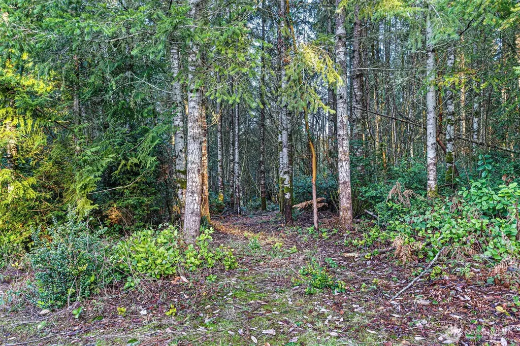 45 Whiteman Road SW Lakebay WA 98349