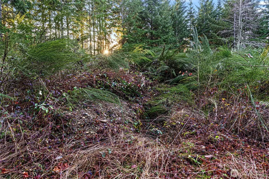 45 Whiteman Road SW Lakebay WA 98349