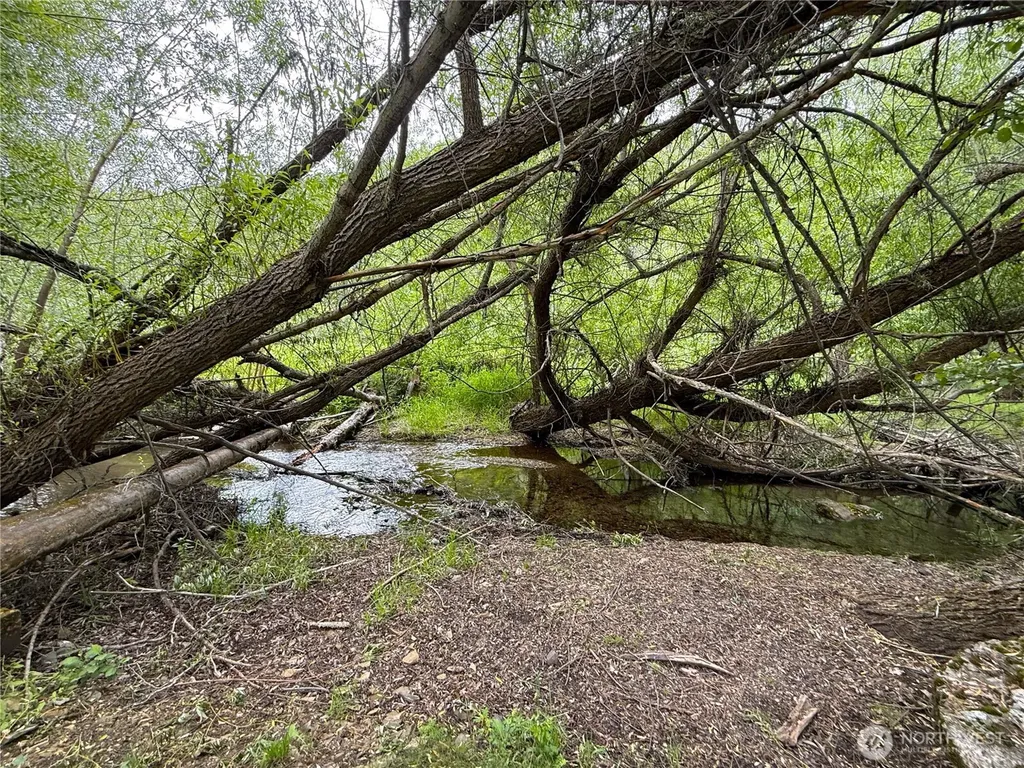 1742 Toroda Creek Road Wauconda WA 98859