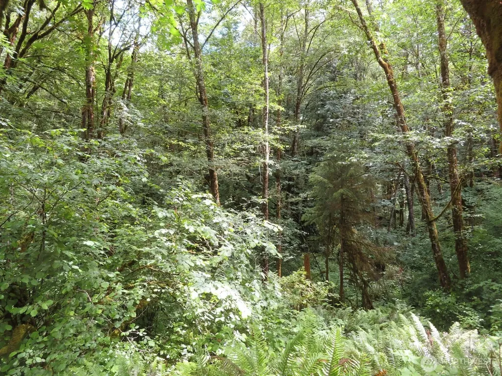 0 Sylvan Way Longview WA 98632