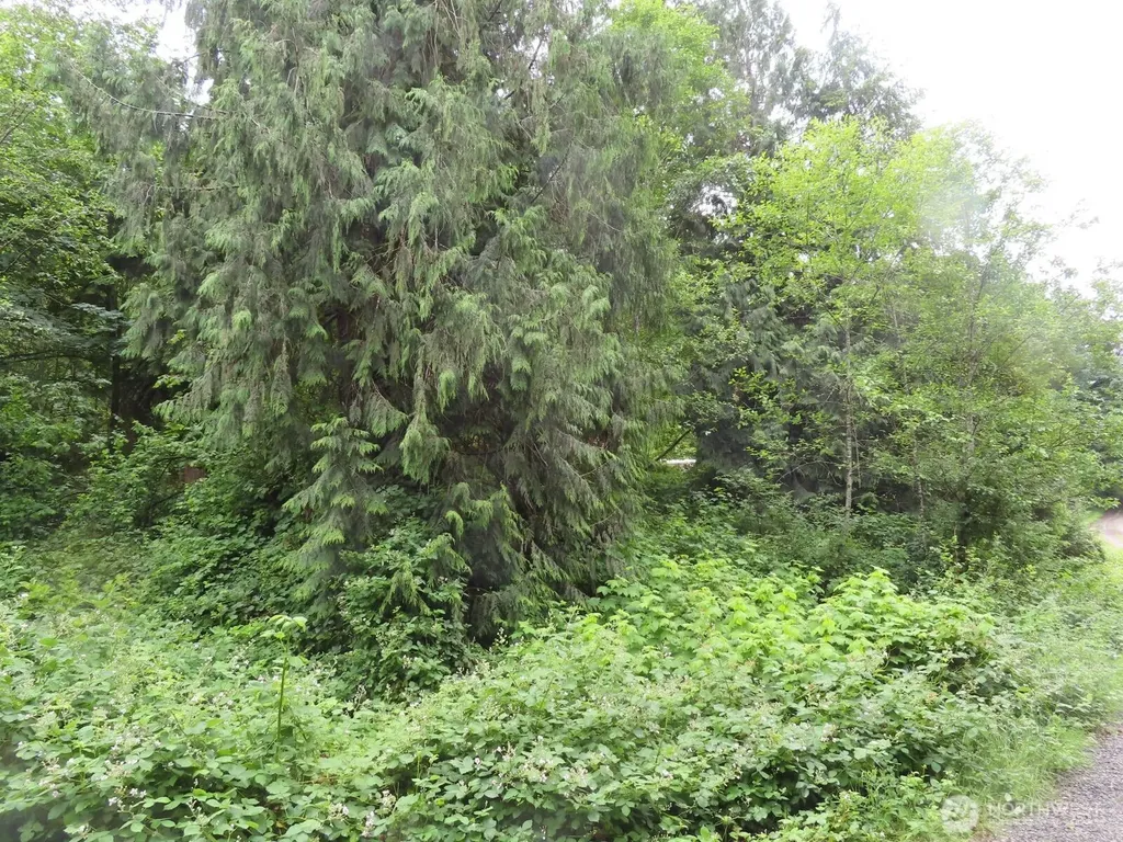 0 Sylvan Way Longview WA 98632