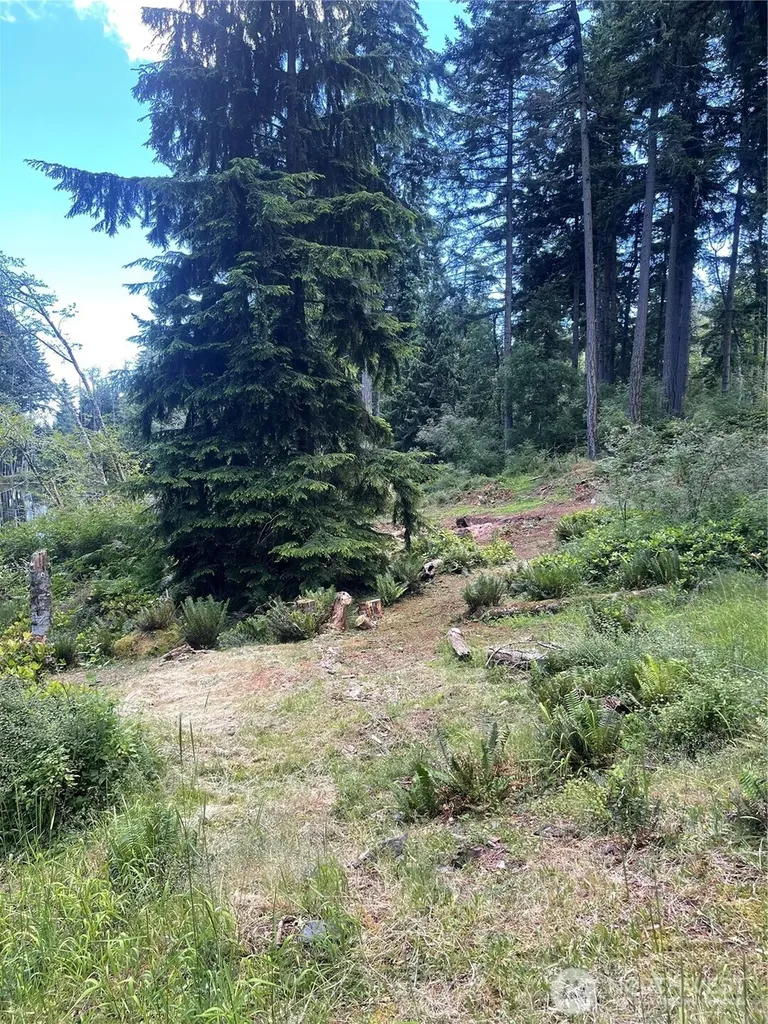 0 Reef Net Road Friday Harbor WA 98250