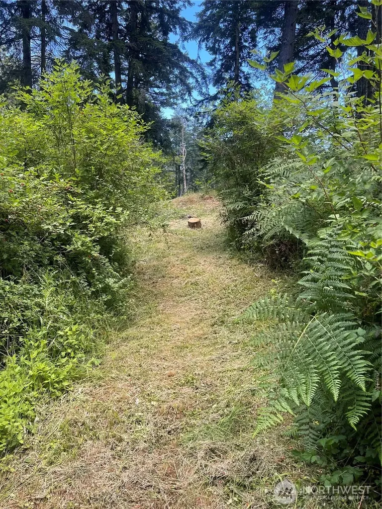 0 Reef Net Road Friday Harbor WA 98250